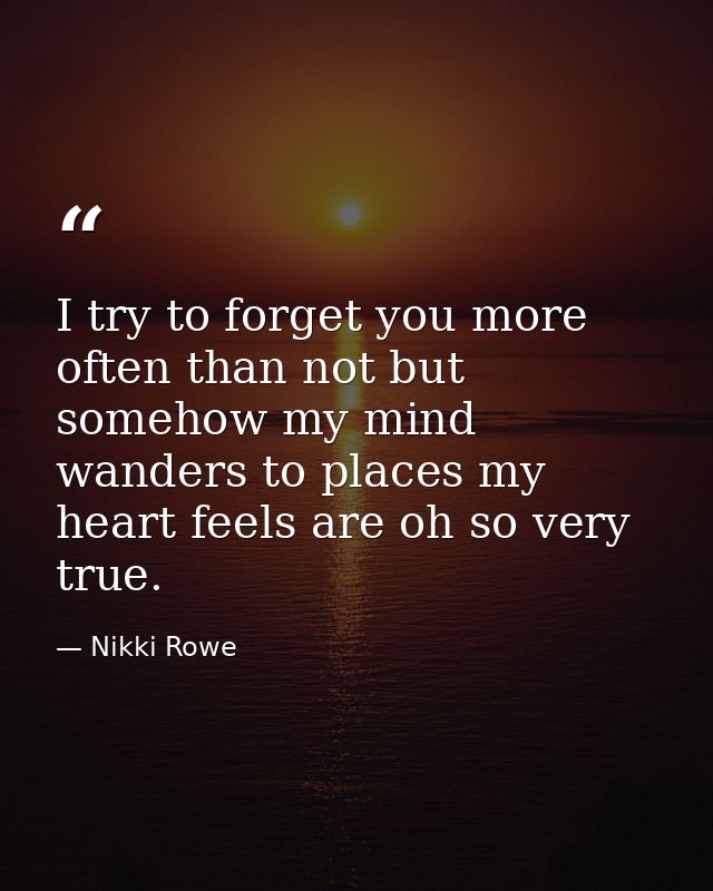 I try to forget you more often than not but somehow my mind wanders to places my heart feels are oh so very true. — Nikki Rowe