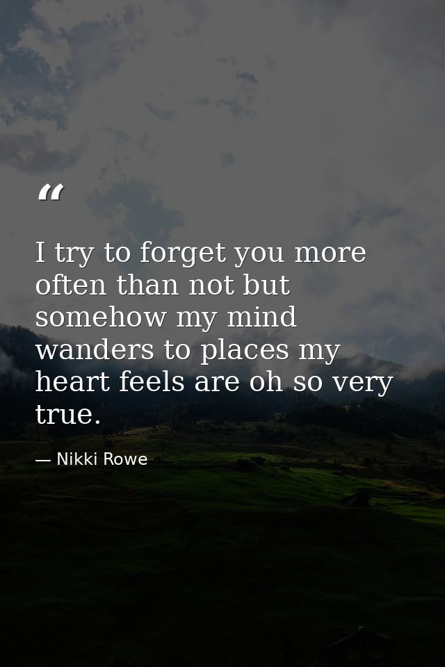 I try to forget you more often than not but somehow my mind wanders to places my heart feels are oh so very true. — Nikki Rowe