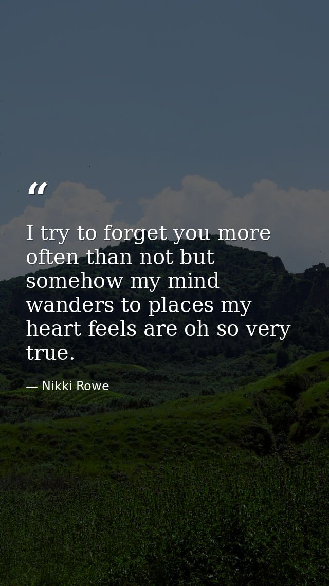 I try to forget you more often than not but somehow my mind wanders to places my heart feels are oh so very true. — Nikki Rowe