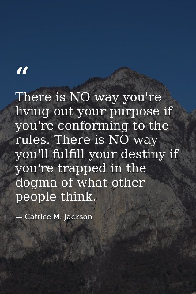 There is NO way you're living out your purpose if you're conforming to the rules. There is NO way you'll fulfill your de — Catrice M. Jackson