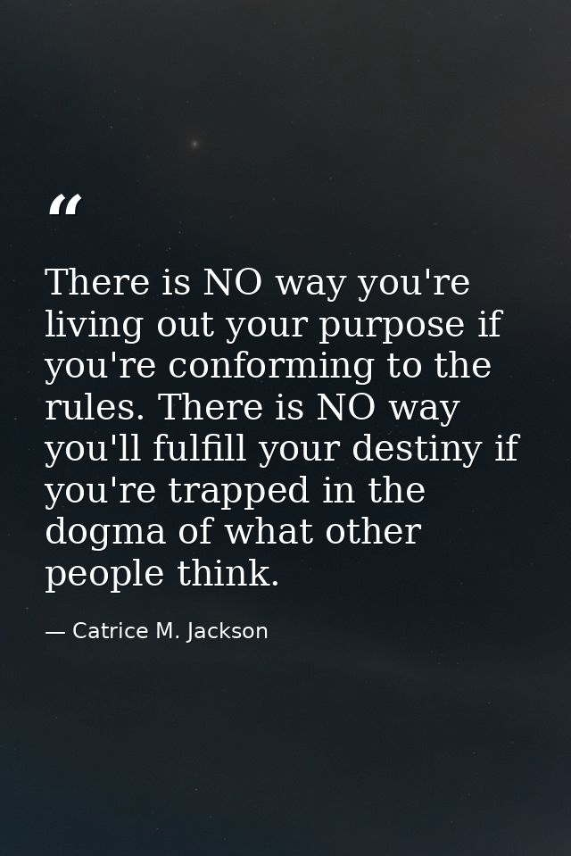 There is NO way you're living out your purpose if you're conforming to the rules. There is NO way you'll fulfill your de — Catrice M. Jackson