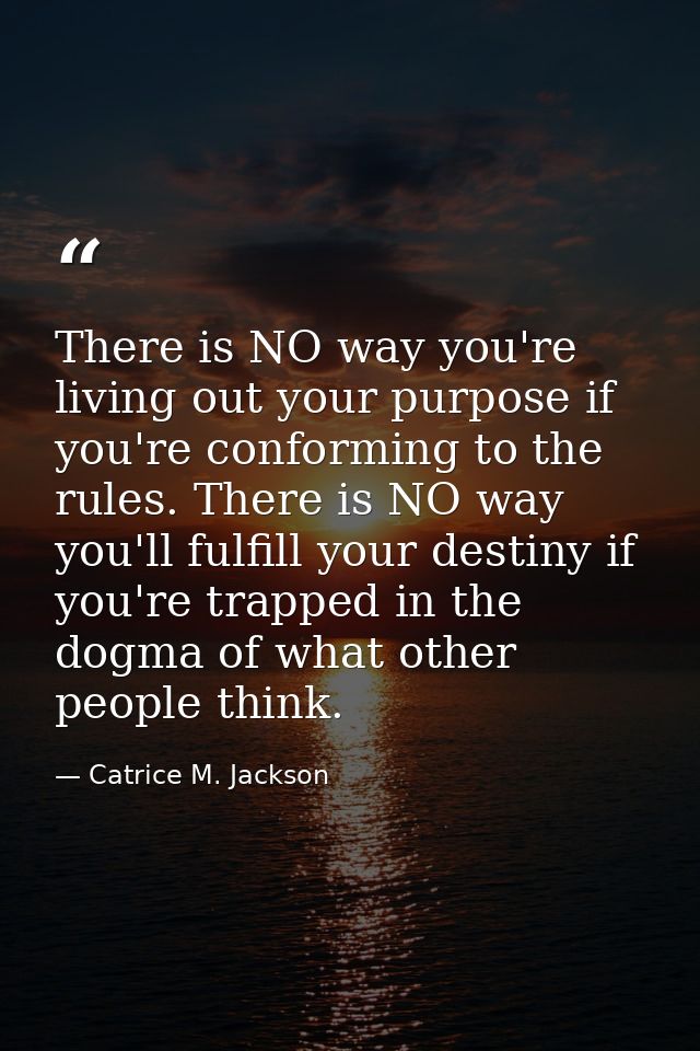 There is NO way you're living out your purpose if you're conforming to the rules. There is NO way you'll fulfill your de — Catrice M. Jackson