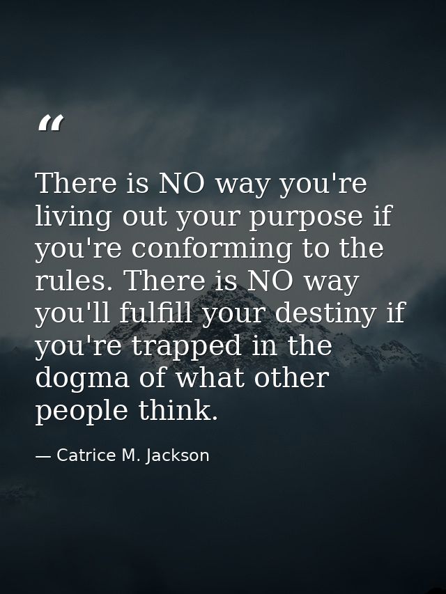 There is NO way you're living out your purpose if you're conforming to the rules. There is NO way you'll fulfill your de — Catrice M. Jackson