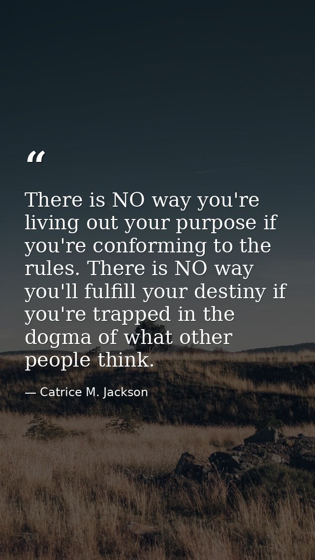 There is NO way you're living out your purpose if you're conforming to the rules. There is NO way you'll fulfill your de — Catrice M. Jackson