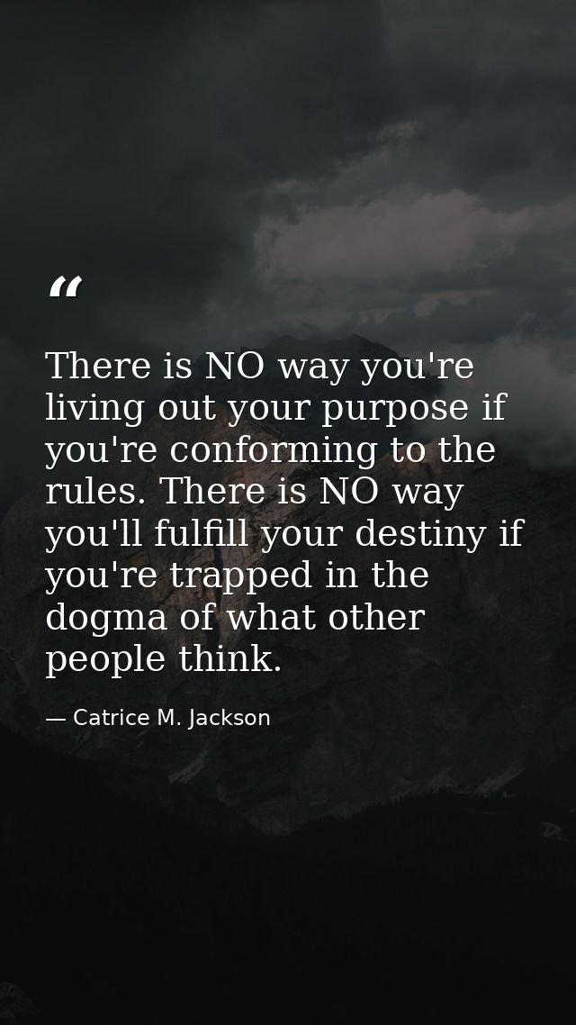 There is NO way you're living out your purpose if you're conforming to the rules. There is NO way you'll fulfill your de — Catrice M. Jackson