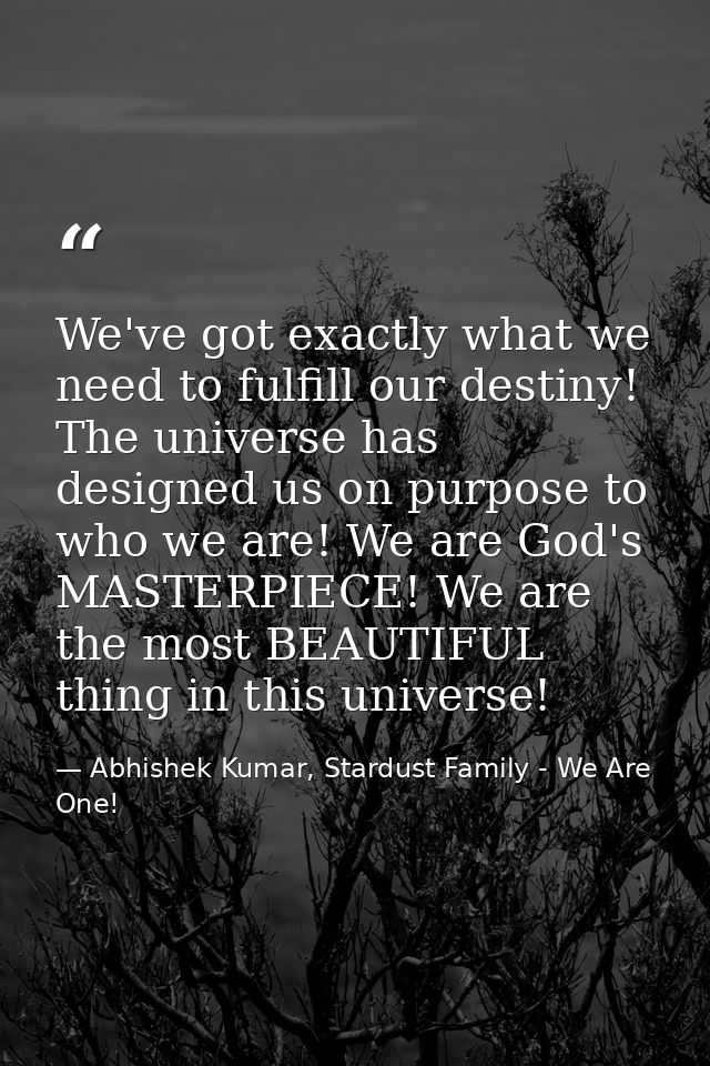 We've got exactly what we need to fulfill our destiny! The universe has designed us on purpose to who we are! We are God — Abhishek Kumar, Stardust Family - We Are One!
