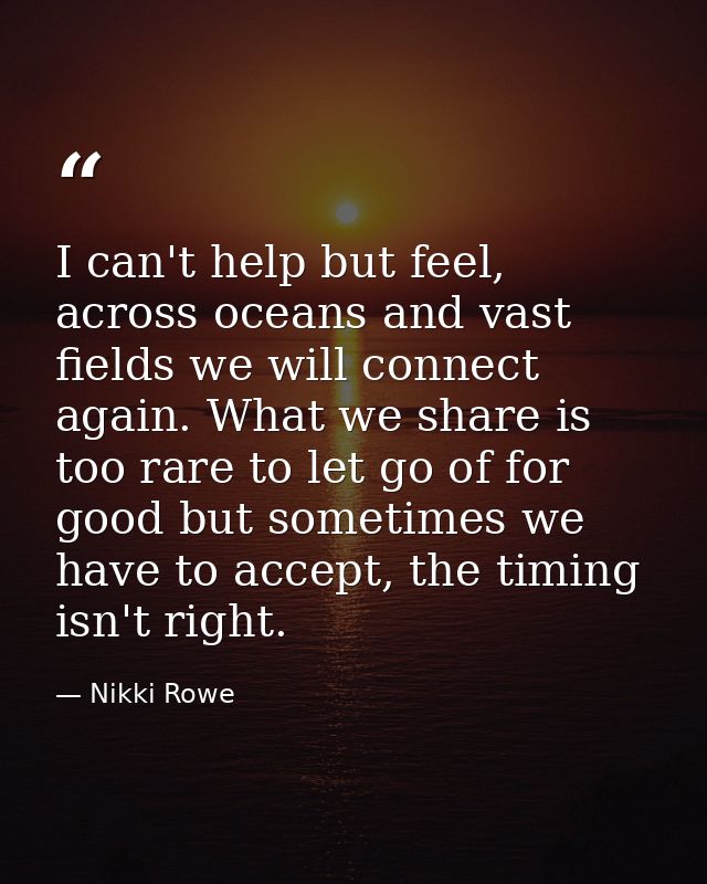 I can't help but feel, across oceans and vast fields we will connect again. What we share is too rare to let go of for g — Nikki Rowe