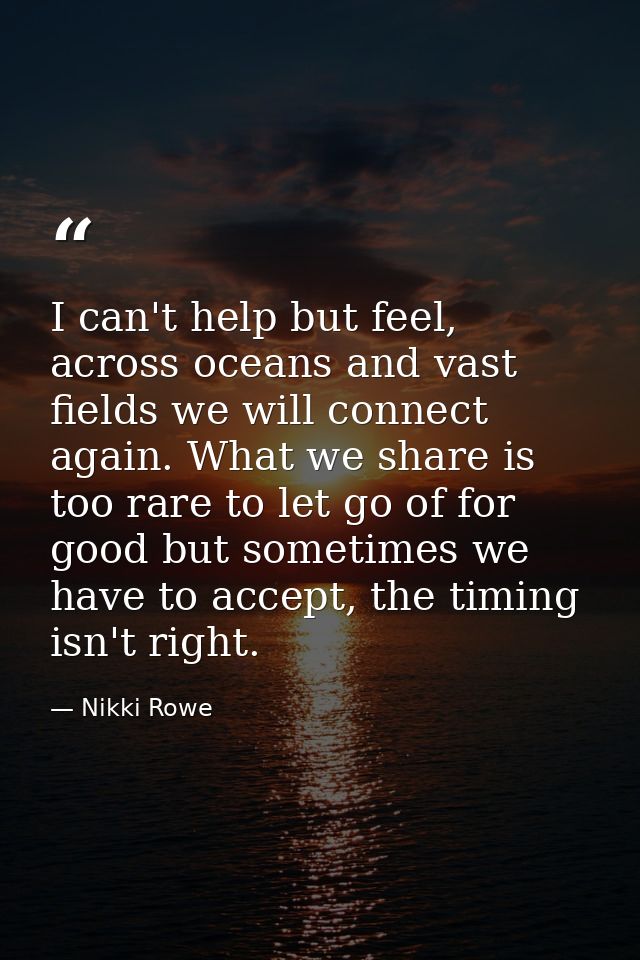 I can't help but feel, across oceans and vast fields we will connect again. What we share is too rare to let go of for g — Nikki Rowe
