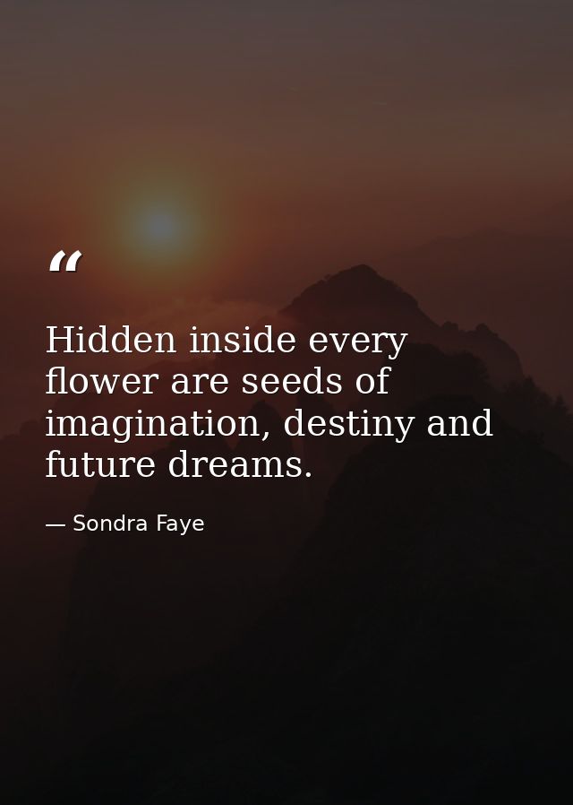 Hidden inside every flower are seeds of imagination, destiny and future dreams. — Sondra Faye
