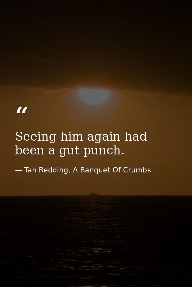 Seeing him again had been a gut punch. — Tan Redding, A Banquet Of Crumbs