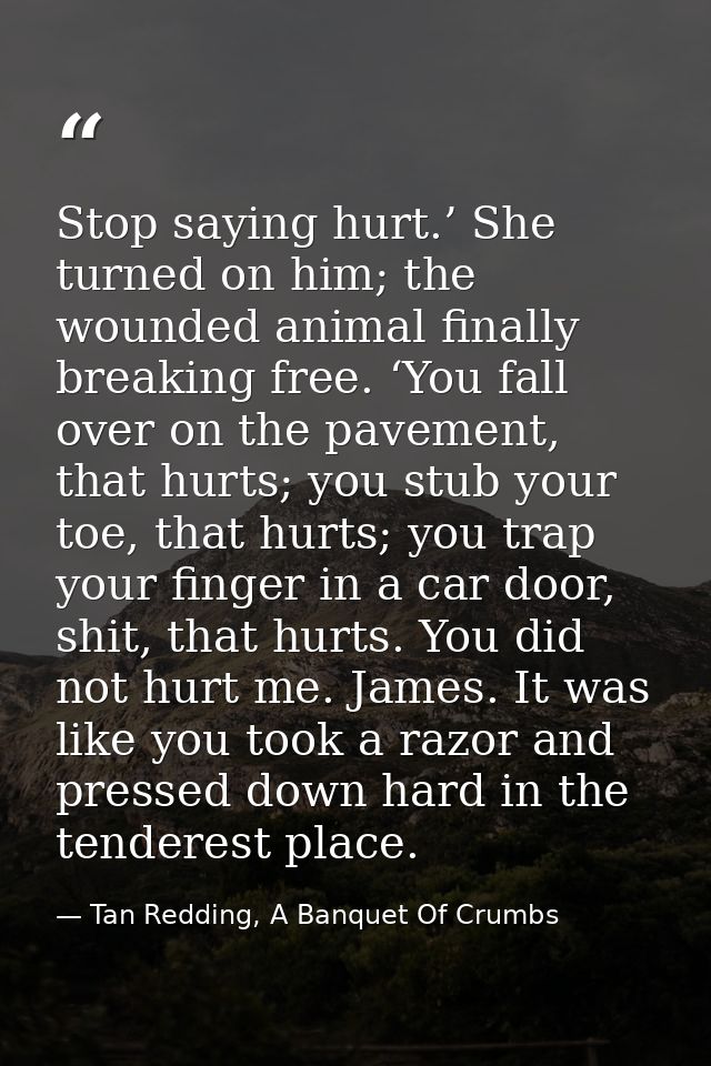Stop saying hurt.’ She turned on him; the wounded animal finally breaking free. ‘You fall over on the pavement, that hur — Tan Redding, A Banquet Of Crumbs