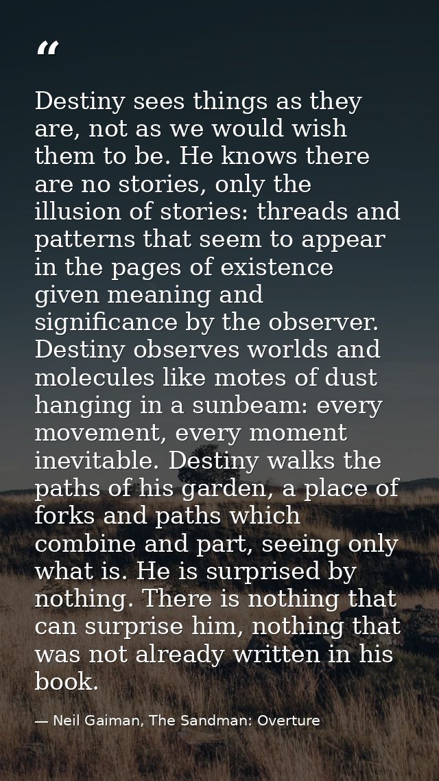 Destiny sees things as they are, not as we would wish them to be. He knows there are no stories, only the illusion of st — Neil Gaiman, The Sandman: Overture