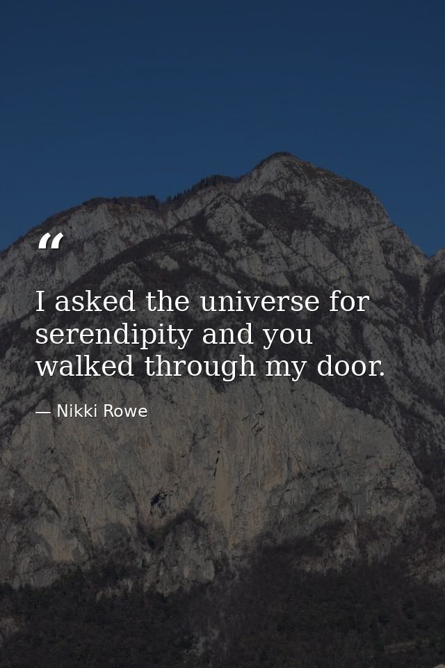 I asked the universe for serendipity and you walked through my door. — Nikki Rowe