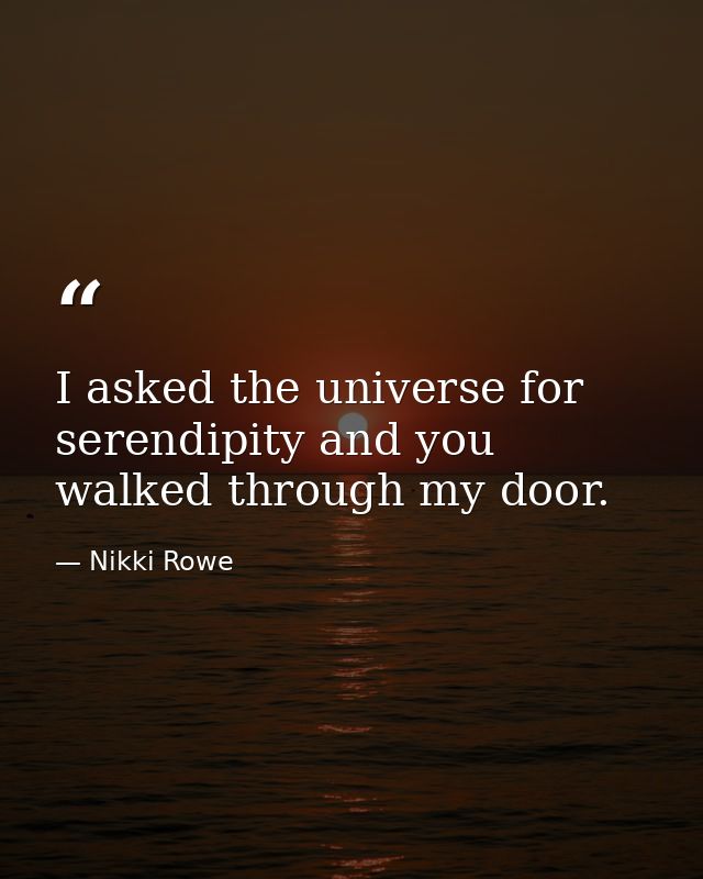 I asked the universe for serendipity and you walked through my door. — Nikki Rowe
