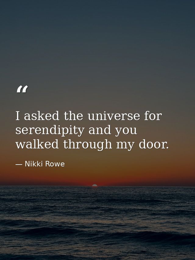 I asked the universe for serendipity and you walked through my door. — Nikki Rowe
