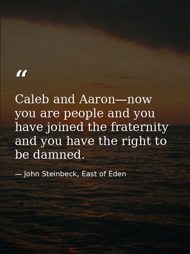 Caleb and Aaron—now you are people and you have joined the fraternity and you have the right to be damned. — John Steinbeck, East of Eden