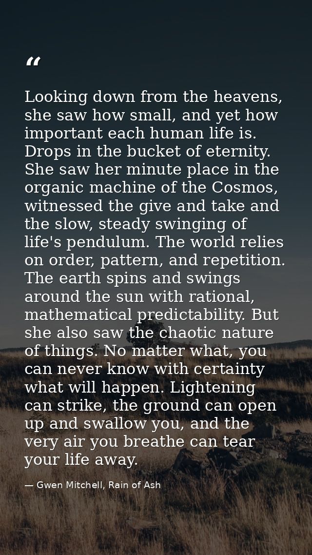 Looking down from the heavens, she saw how small, and yet how important each human life is. Drops in the bucket of etern — Gwen Mitchell, Rain of Ash