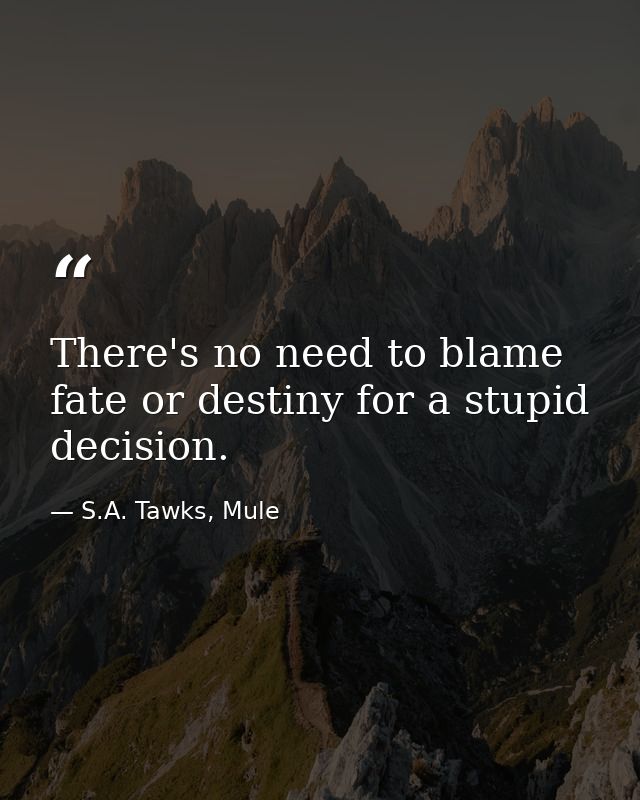 There's no need to blame fate or destiny for a stupid decision. — S.A. Tawks, Mule