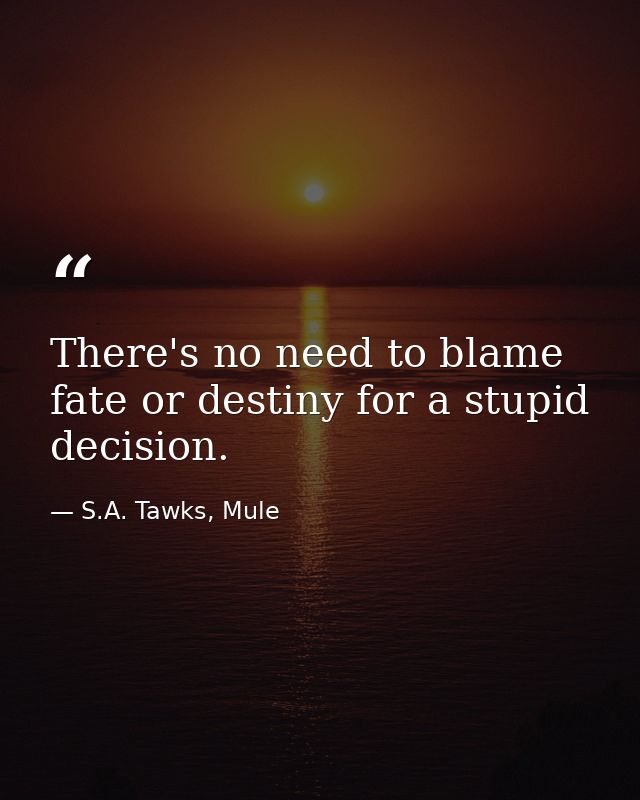 There's no need to blame fate or destiny for a stupid decision. — S.A. Tawks, Mule