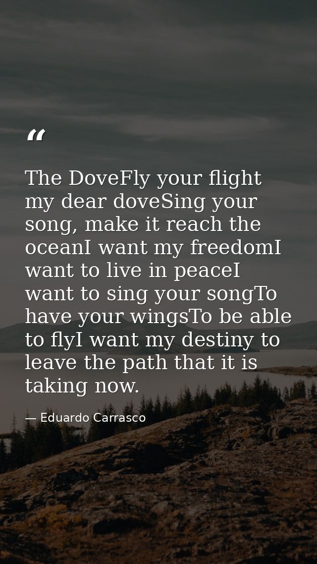 The DoveFly your flight my dear doveSing your song, make it reach the oceanI want my freedomI want to live in peaceI wan — Eduardo Carrasco