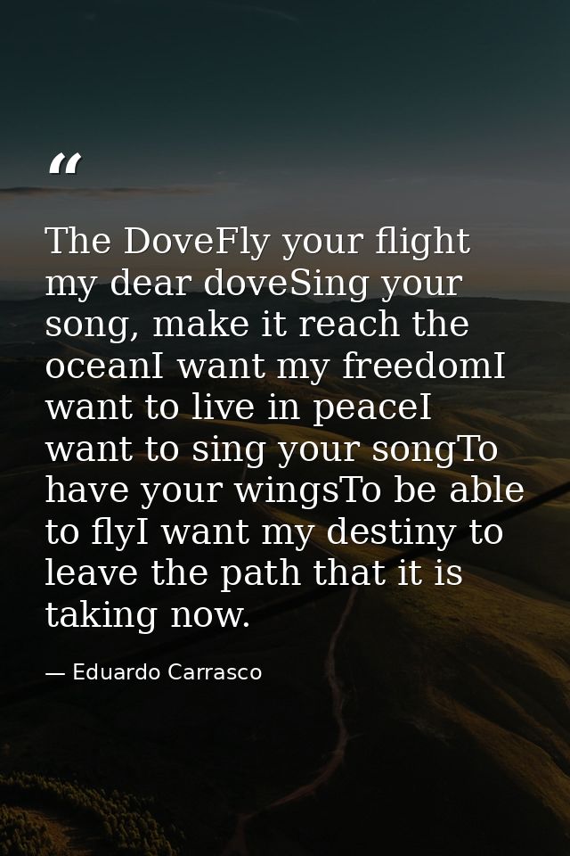 The DoveFly your flight my dear doveSing your song, make it reach the oceanI want my freedomI want to live in peaceI wan — Eduardo Carrasco