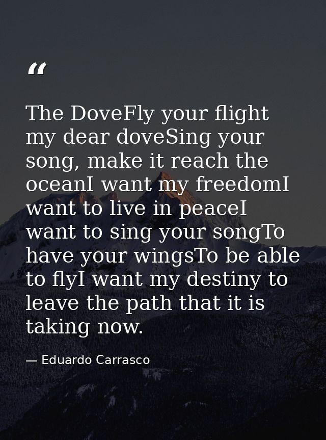 The DoveFly your flight my dear doveSing your song, make it reach the oceanI want my freedomI want to live in peaceI wan — Eduardo Carrasco