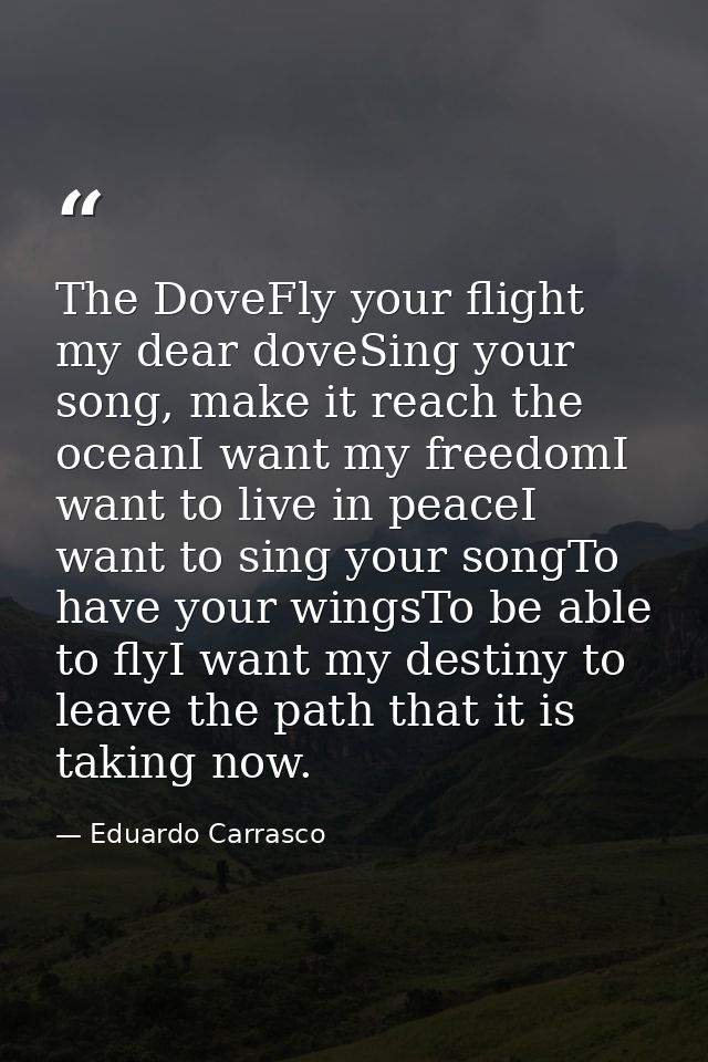 The DoveFly your flight my dear doveSing your song, make it reach the oceanI want my freedomI want to live in peaceI wan — Eduardo Carrasco