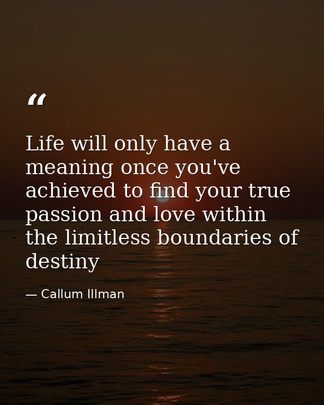 Life will only have a meaning once you've achieved to find your true passion and love within the limitless boundaries of — Callum Illman