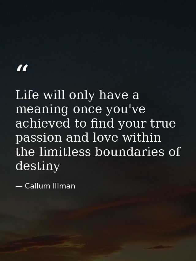 Life will only have a meaning once you've achieved to find your true passion and love within the limitless boundaries of — Callum Illman