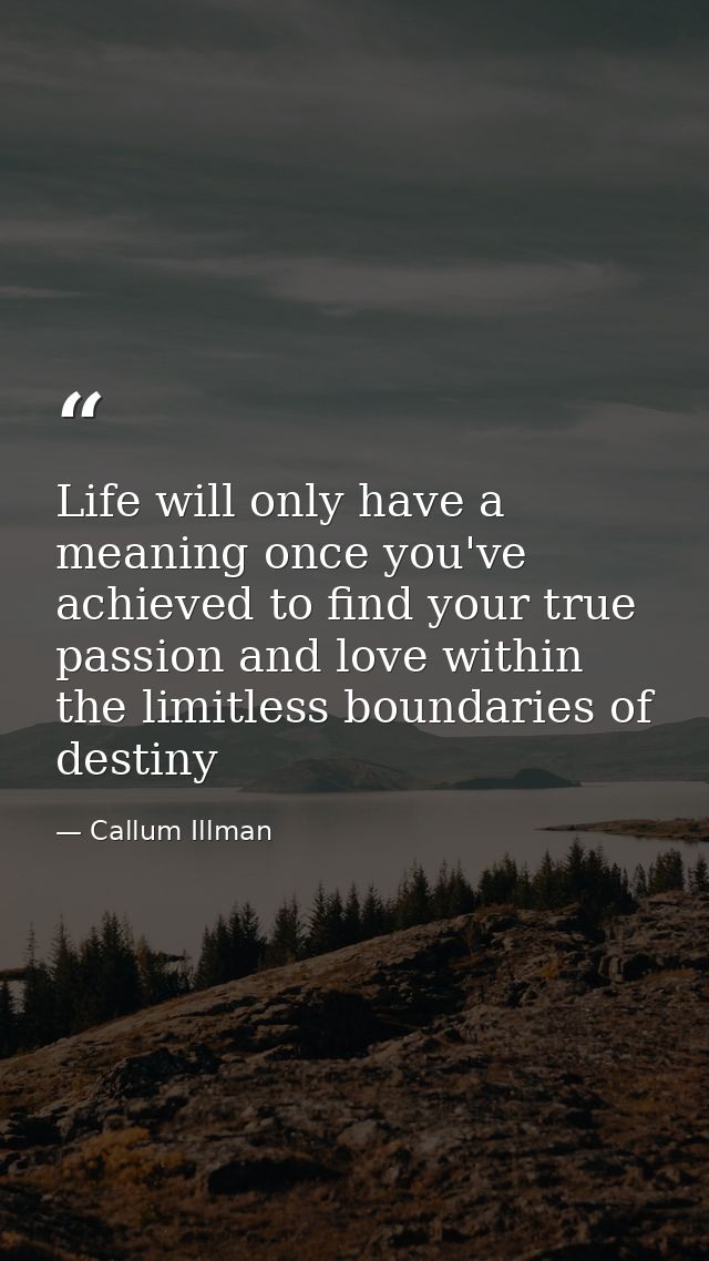 Life will only have a meaning once you've achieved to find your true passion and love within the limitless boundaries of — Callum Illman