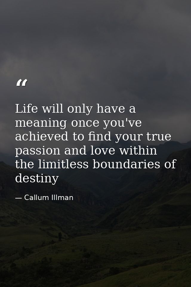 Life will only have a meaning once you've achieved to find your true passion and love within the limitless boundaries of — Callum Illman