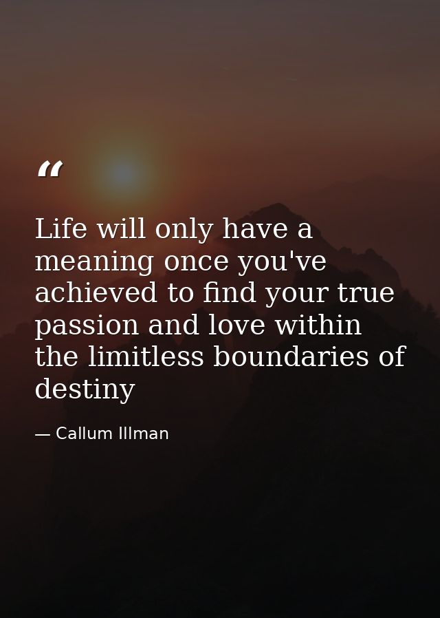 Life will only have a meaning once you've achieved to find your true passion and love within the limitless boundaries of — Callum Illman