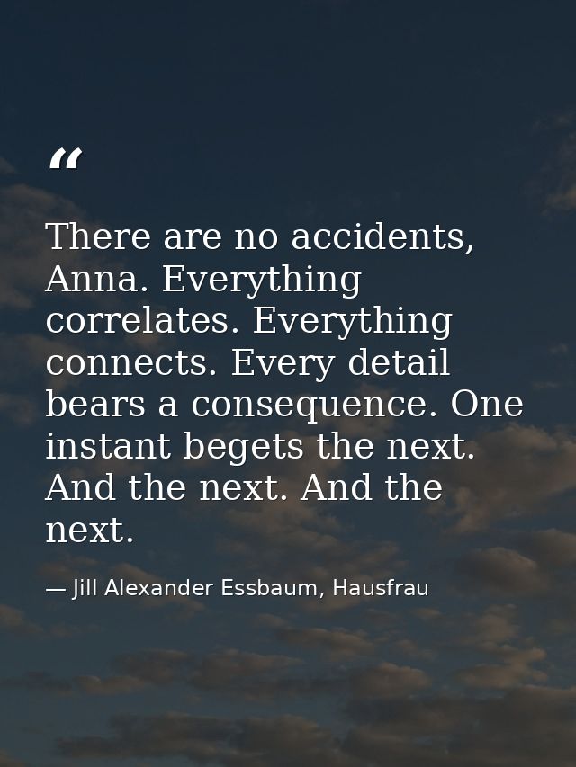 There are no accidents, Anna. Everything correlates. Everything connects. Every detail bears a consequence. One instant  — Jill Alexander Essbaum, Hausfrau