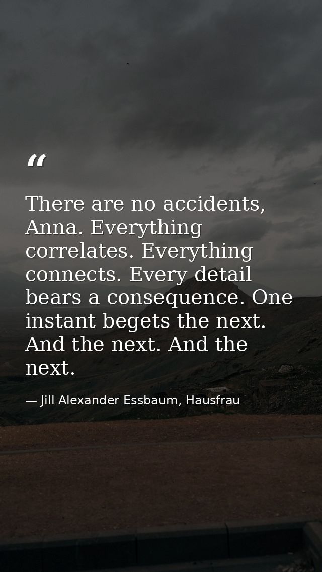 There are no accidents, Anna. Everything correlates. Everything connects. Every detail bears a consequence. One instant  — Jill Alexander Essbaum, Hausfrau