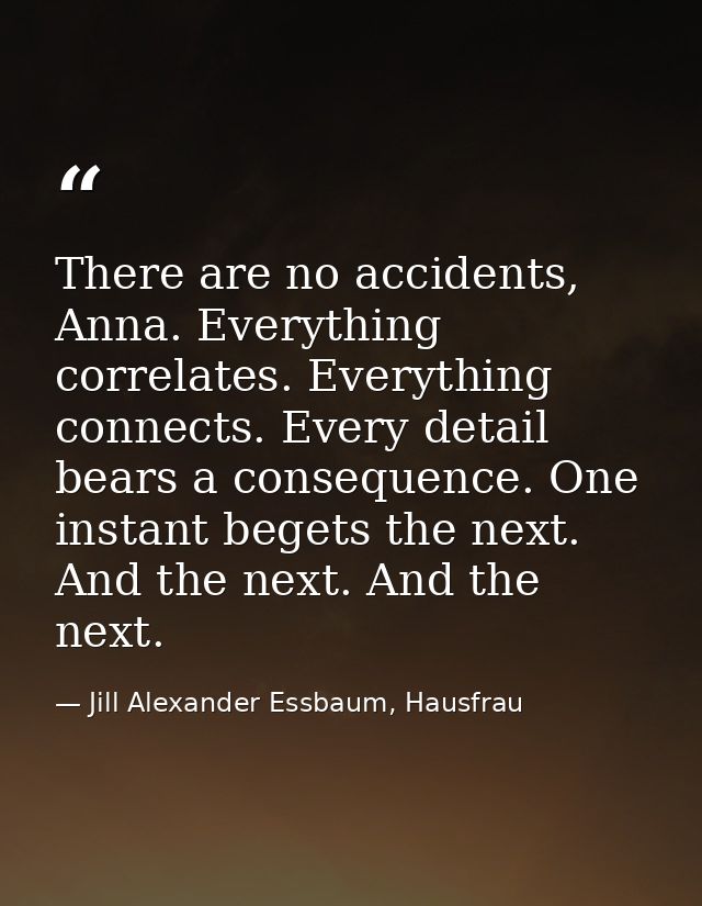 There are no accidents, Anna. Everything correlates. Everything connects. Every detail bears a consequence. One instant  — Jill Alexander Essbaum, Hausfrau