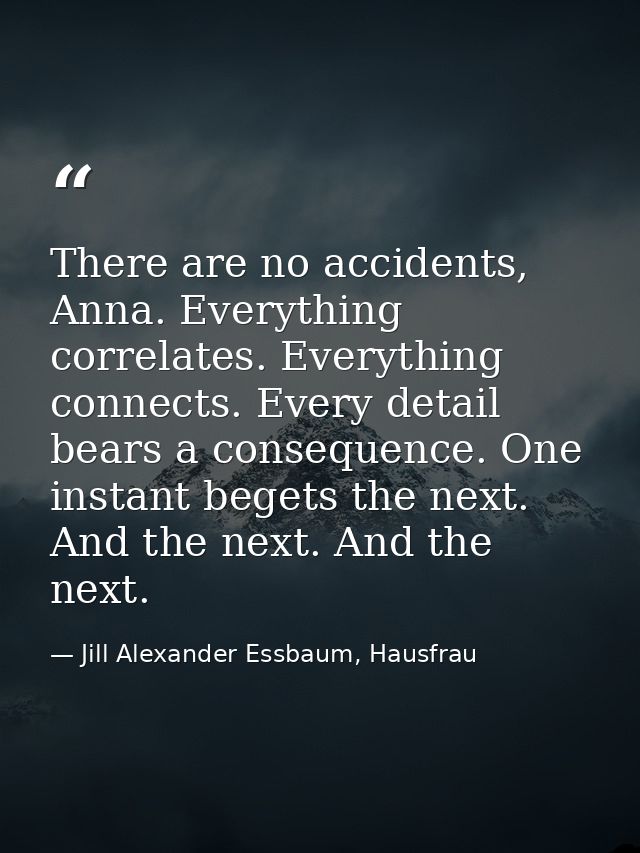 There are no accidents, Anna. Everything correlates. Everything connects. Every detail bears a consequence. One instant  — Jill Alexander Essbaum, Hausfrau