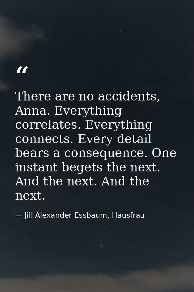 There are no accidents, Anna. Everything correlates. Everything connects. Every detail bears a consequence. One instant  — Jill Alexander Essbaum, Hausfrau