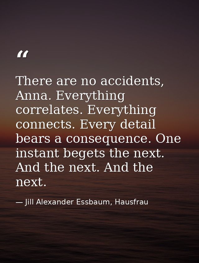 There are no accidents, Anna. Everything correlates. Everything connects. Every detail bears a consequence. One instant  — Jill Alexander Essbaum, Hausfrau