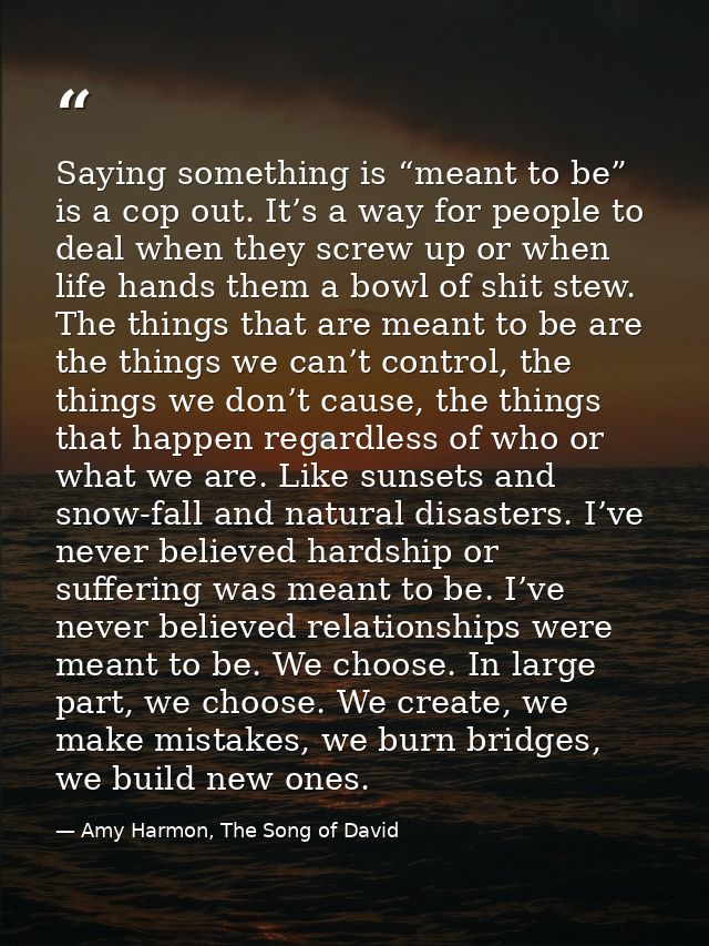 Saying something is “meant to be” is a cop out. It’s a way for people to deal when they screw up or when life hands them — Amy Harmon, The Song of David