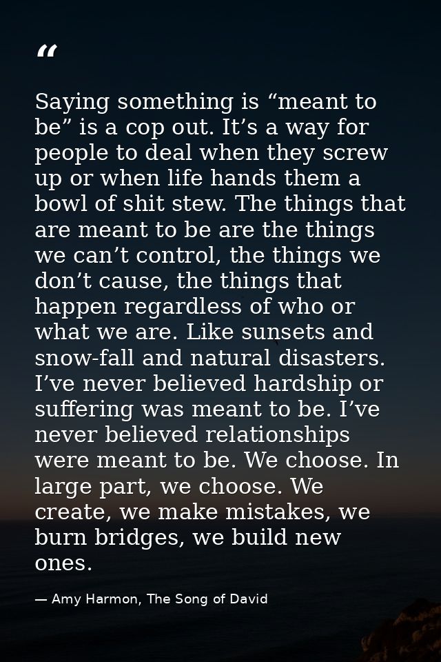 Saying something is “meant to be” is a cop out. It’s a way for people to deal when they screw up or when life hands them — Amy Harmon, The Song of David