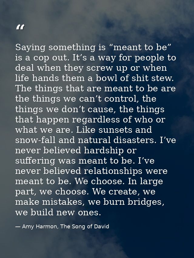 Saying something is “meant to be” is a cop out. It’s a way for people to deal when they screw up or when life hands them — Amy Harmon, The Song of David
