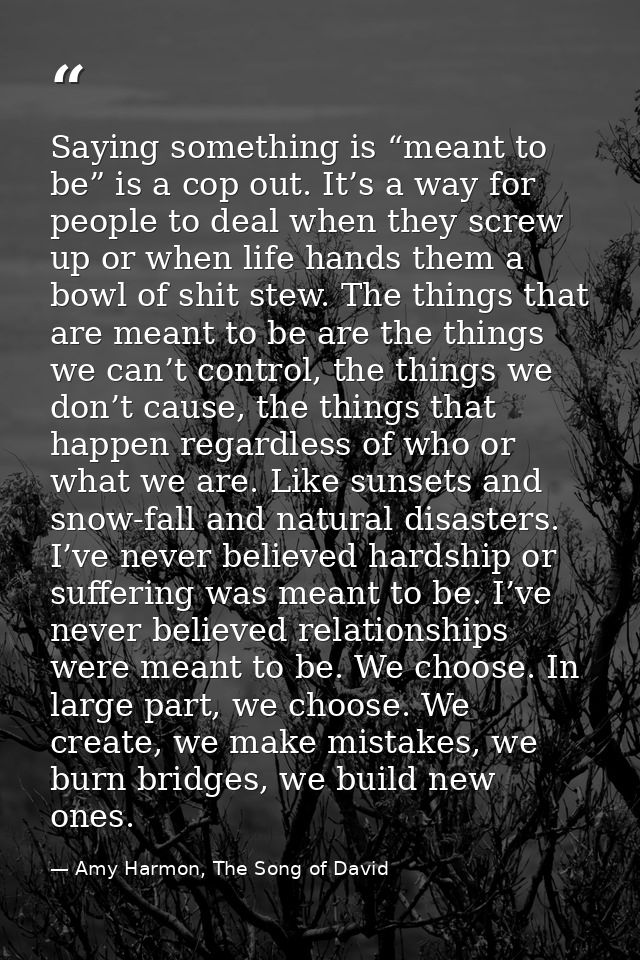 Saying something is “meant to be” is a cop out. It’s a way for people to deal when they screw up or when life hands them — Amy Harmon, The Song of David