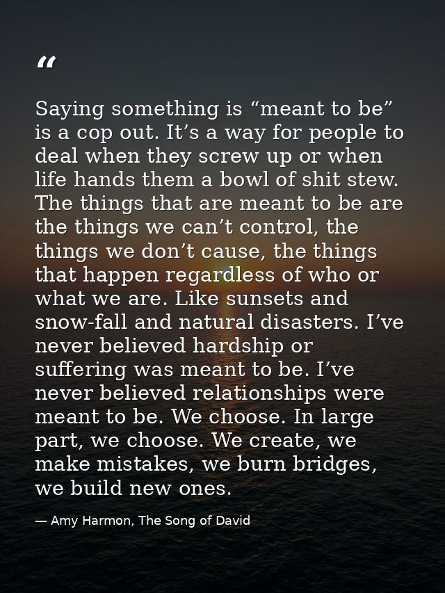 Saying something is “meant to be” is a cop out. It’s a way for people to deal when they screw up or when life hands them — Amy Harmon, The Song of David
