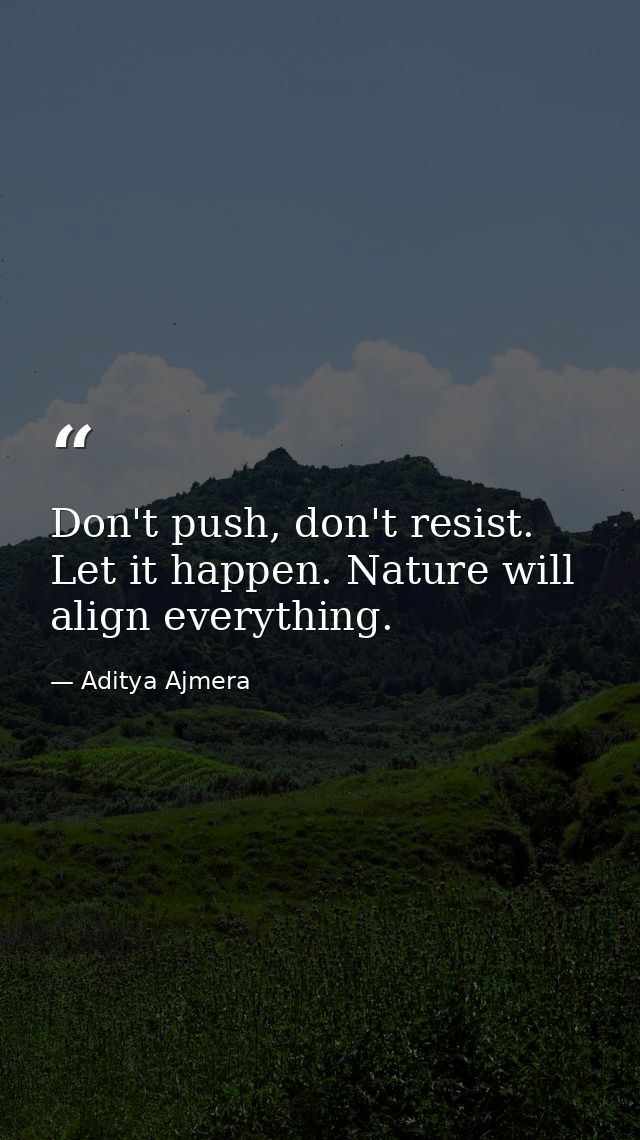 Don't push, don't resist. Let it happen. Nature will align everything. — Aditya Ajmera