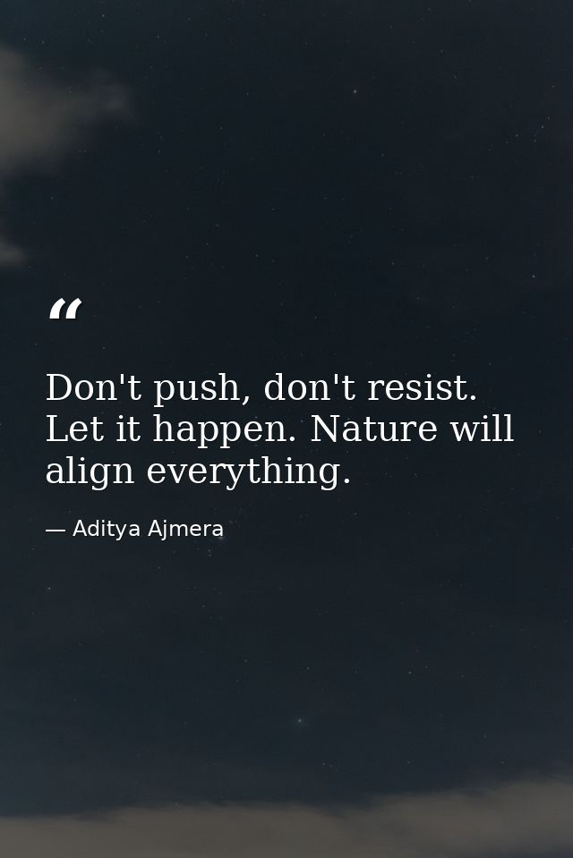 Don't push, don't resist. Let it happen. Nature will align everything. — Aditya Ajmera