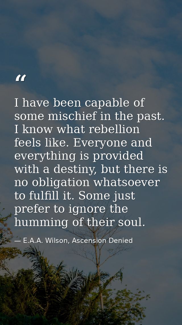I have been capable of some mischief in the past. I know what rebellion feels like. Everyone and everything is provided  — E.A.A. Wilson, Ascension Denied