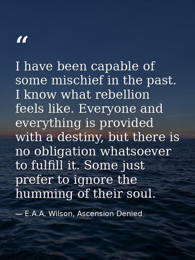 I have been capable of some mischief in the past. I know what rebellion feels like. Everyone and everything is provided  — E.A.A. Wilson, Ascension Denied