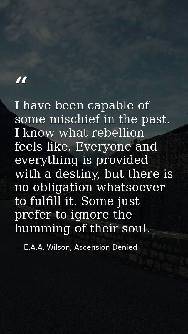 I have been capable of some mischief in the past. I know what rebellion feels like. Everyone and everything is provided  — E.A.A. Wilson, Ascension Denied