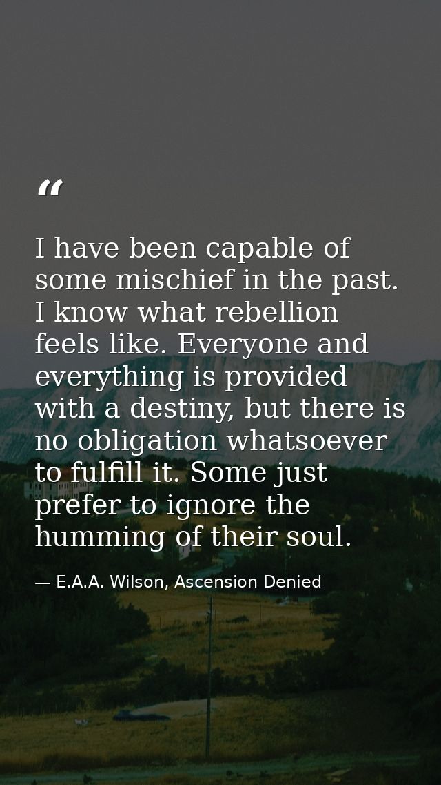 I have been capable of some mischief in the past. I know what rebellion feels like. Everyone and everything is provided  — E.A.A. Wilson, Ascension Denied