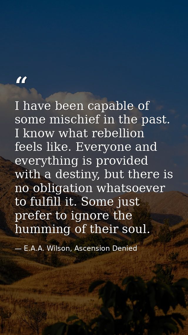 I have been capable of some mischief in the past. I know what rebellion feels like. Everyone and everything is provided  — E.A.A. Wilson, Ascension Denied